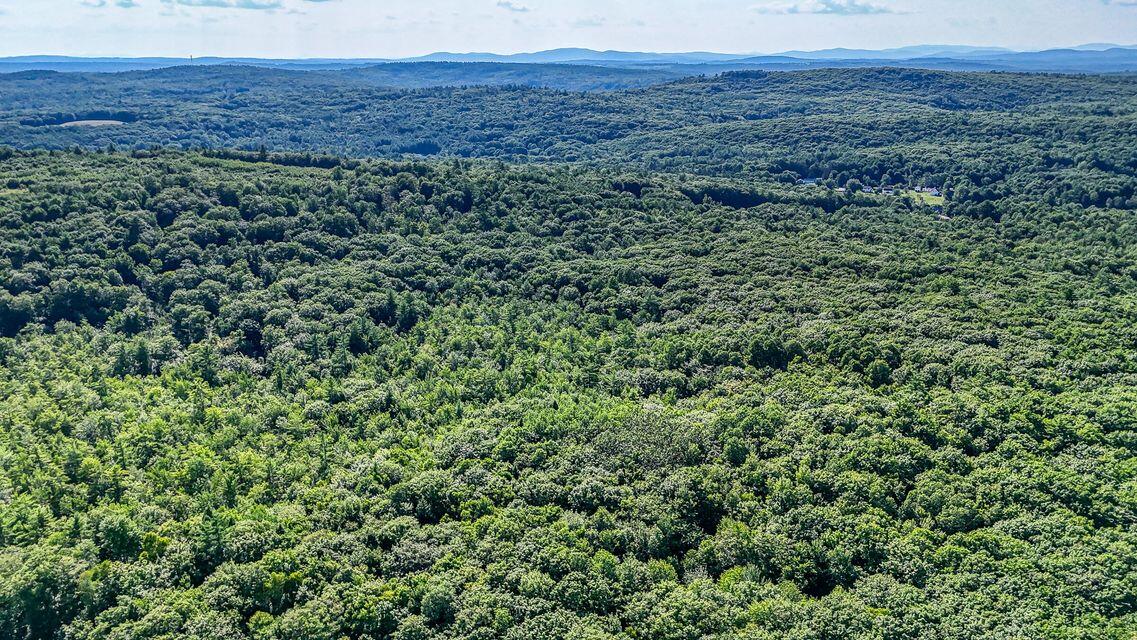 Lot 29 North Grey Road Greene, ME 04236 - Photo 17 of 21 20240731131025426224000000-o