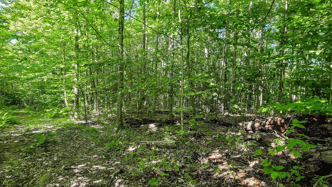 Lot 29 North Grey Road Greene, ME 04236 - Photo 18 of 21 20240731131031192069000000-o