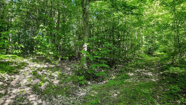 $145,000 | Lot 29 North Grey Road, Greene, ME 04236