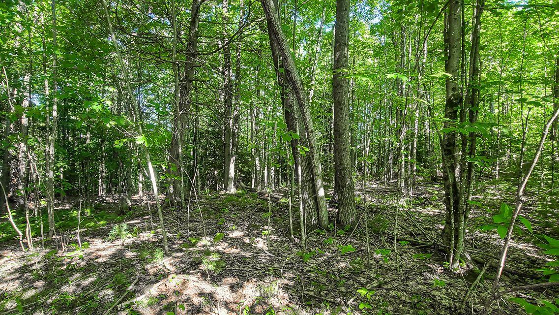 Lot 29 North Grey Road Greene, ME 04236 - Photo 21 of 21 20240731131046340929000000-o