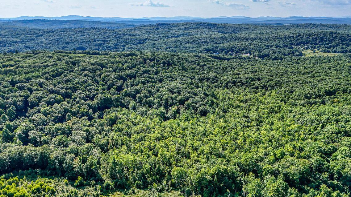 Lot 29 North Grey Road Greene, ME 04236 - Photo 9 of 21 20240731130926796798000000-o