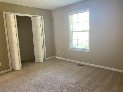 7601 Tree Bark Road Corryton, TN 37721 - Photo 11 of 16