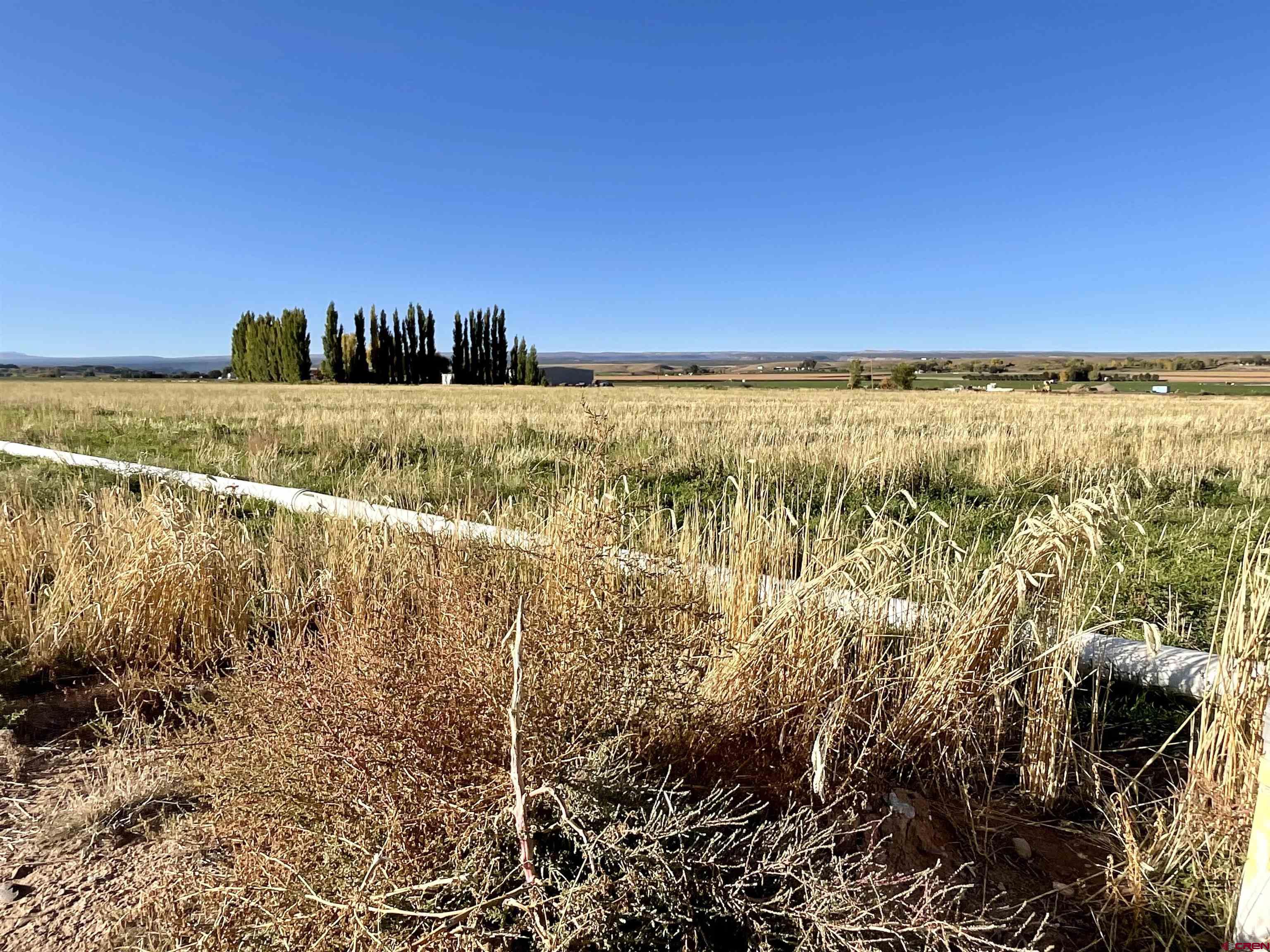 Tbd 5800th Road Montrose, CO 81403 - Photo 7 of 8 a view of ocean
