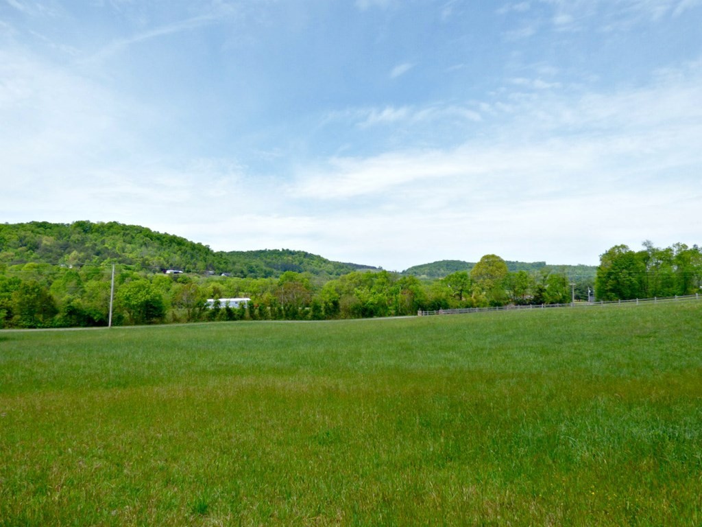 58 Camellia Road Newport, TN 37821 - Photo 4 of 13 Gallery Image 4