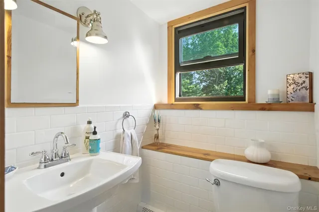 a bathroom with a sink and a toilet