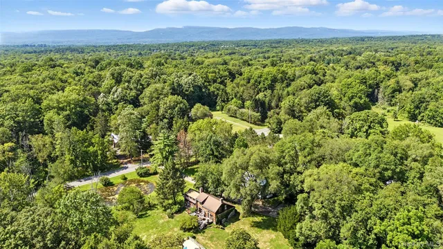 a view of a lush green forest with a houses