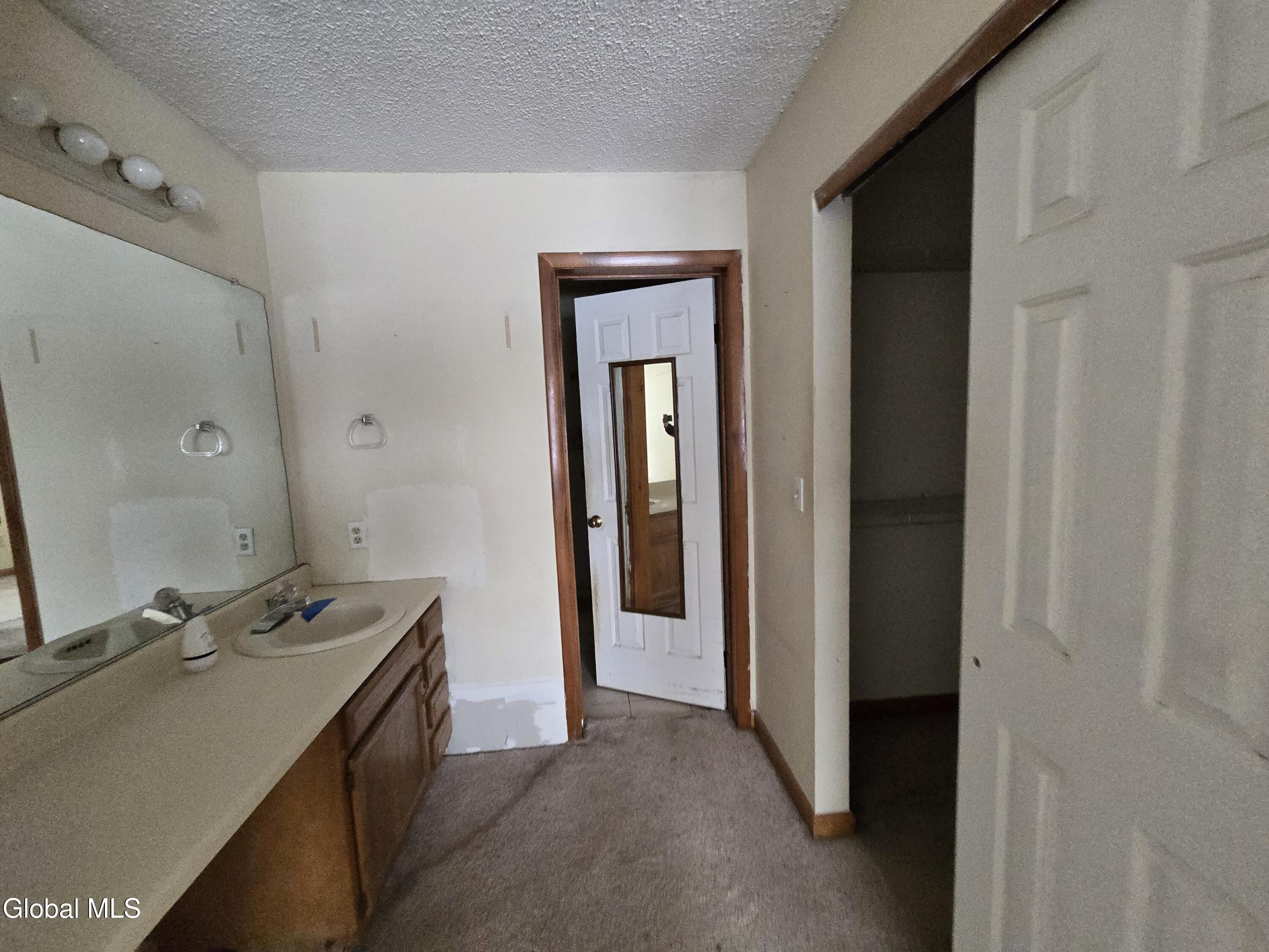 7 Sandra Lane East Greenbush, NY 12144 - Photo 9 of 11 20260109_114448