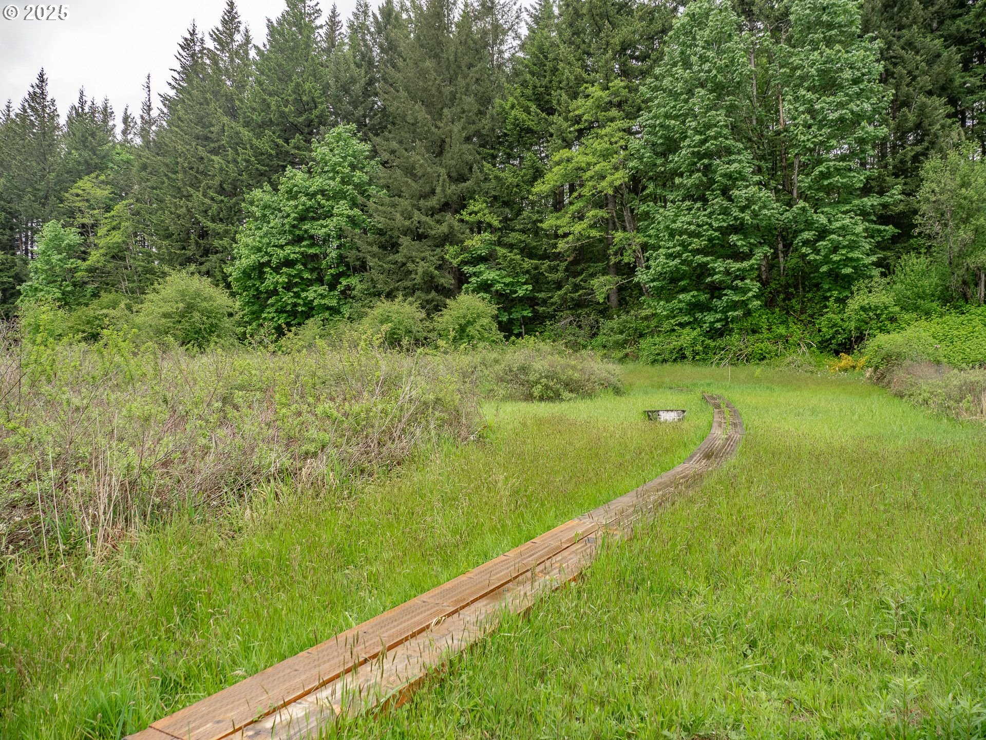 72 Patrick Lane Washougal, WA 98671 - Photo 37 of 48 a view of a green field with lots of bushes