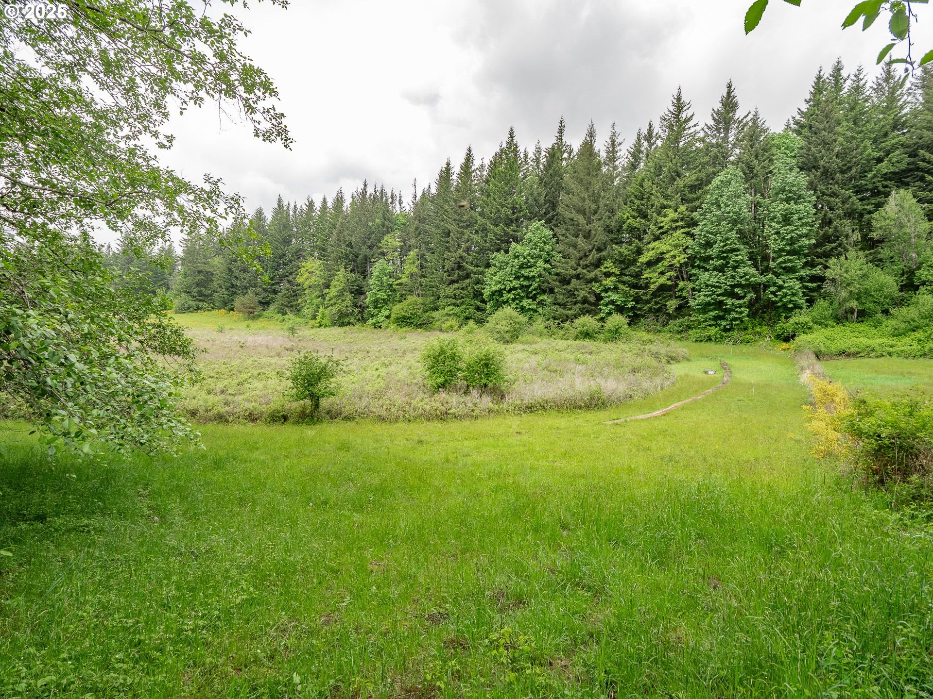 72 Patrick Lane Washougal, WA 98671 - Photo 38 of 48 a view of a big yard with large trees
