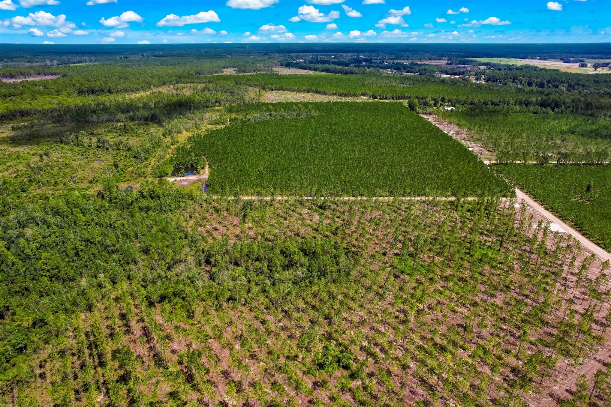 Lot 6 Georgia Street Hilliard, FL 32046 - Photo 11 of 13 a view of a lake from a yard