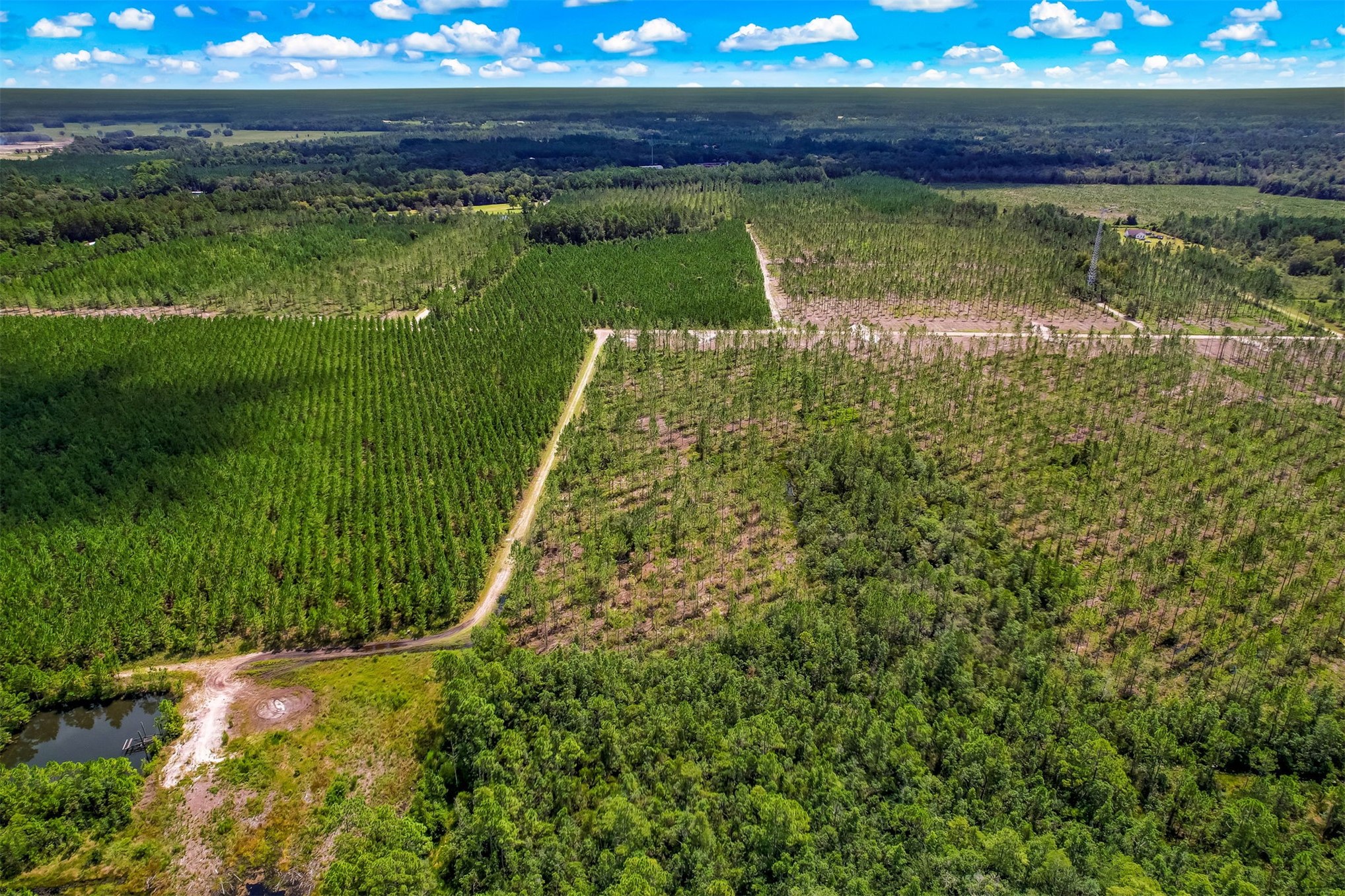 Lot 6 Georgia Street Hilliard, FL 32046 - Photo 12 of 13 a view of yard