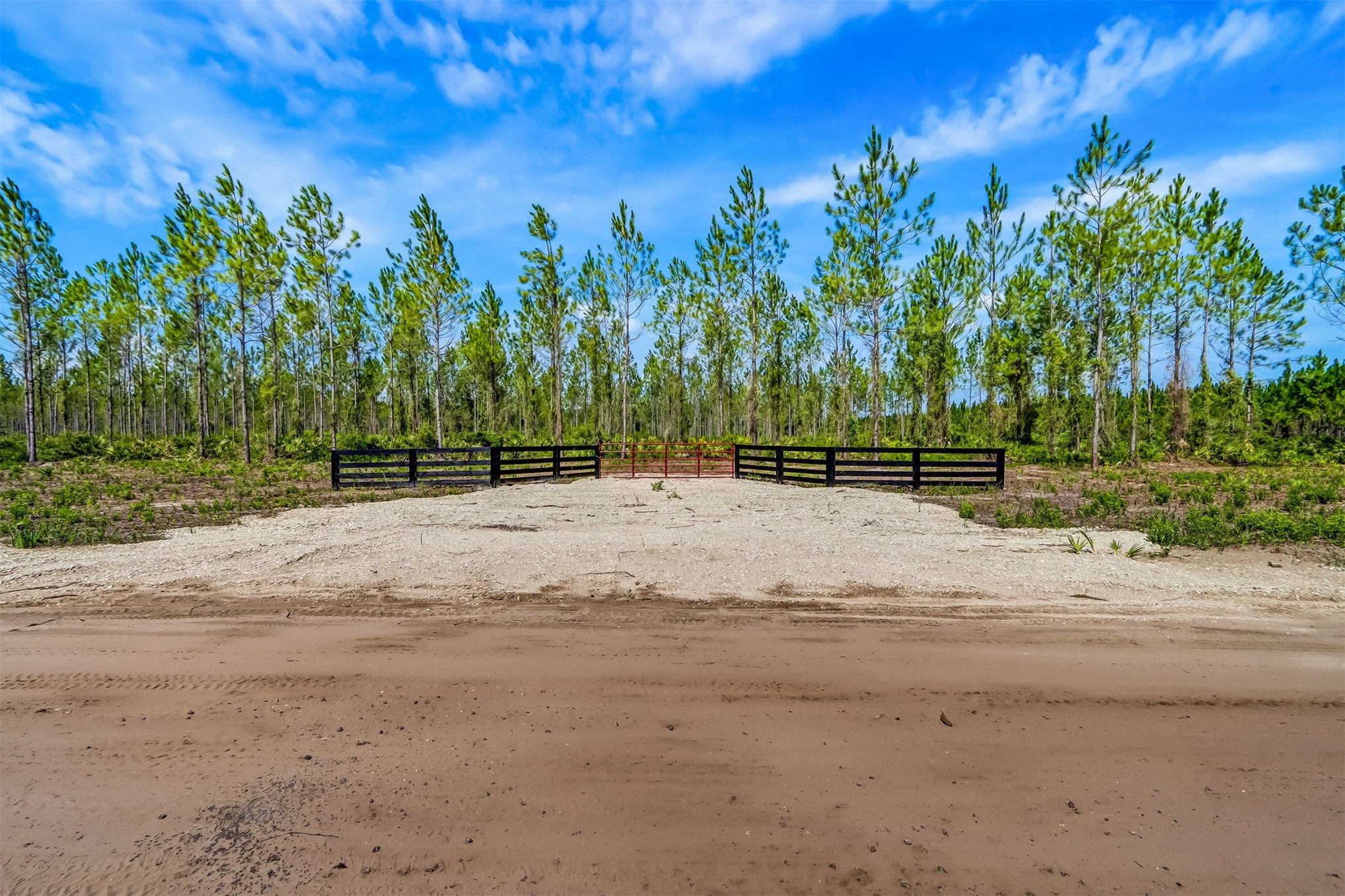 Lot 6 Georgia Street Hilliard, FL 32046 - Photo 4 of 13 a view of a yard