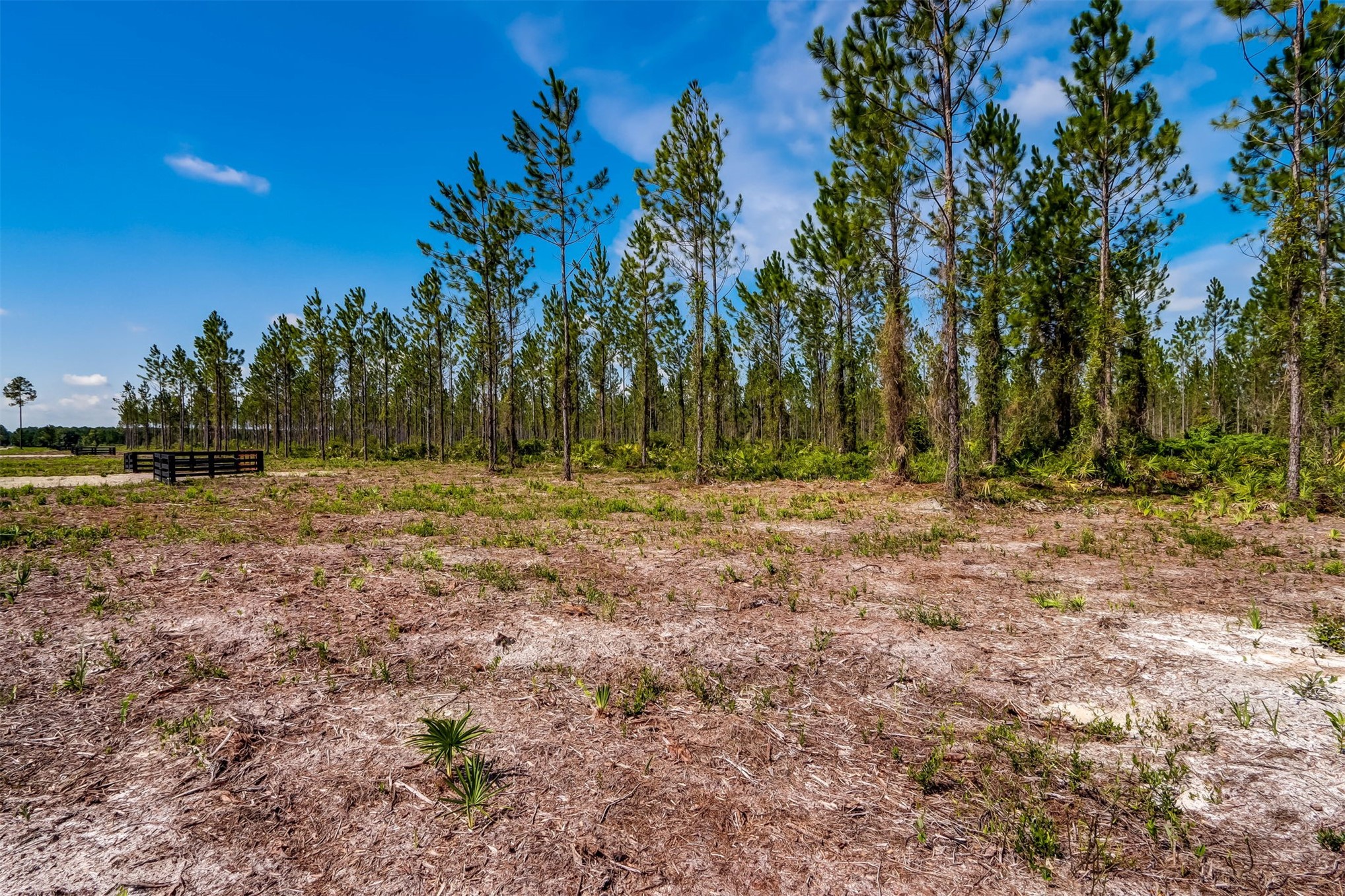 Lot 6 Georgia Street Hilliard, FL 32046 - Photo 5 of 13 a view of outdoor space with trees