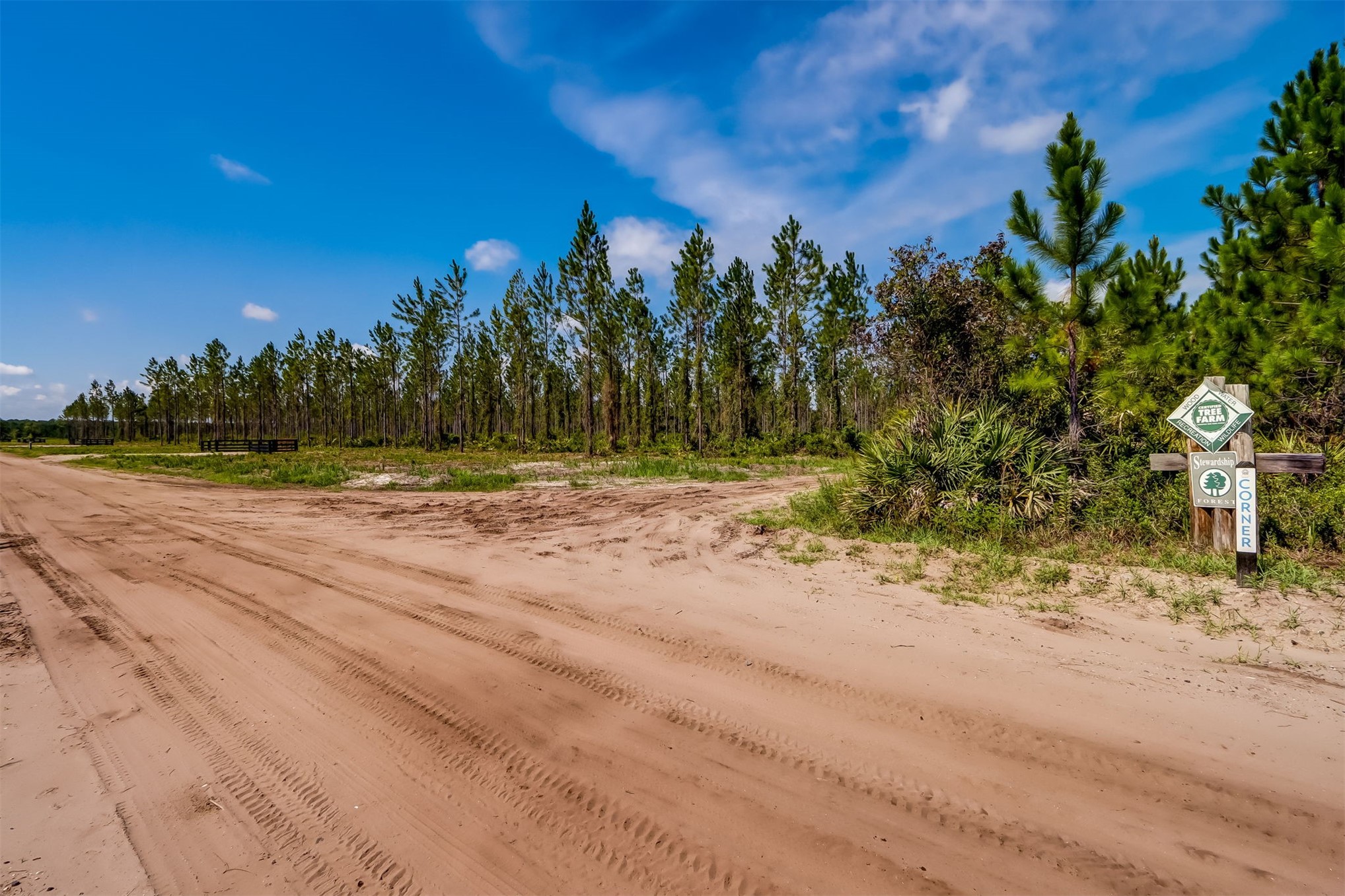 Lot 6 Georgia Street Hilliard, FL 32046 - Photo 7 of 13 a view of a yard with palm trees