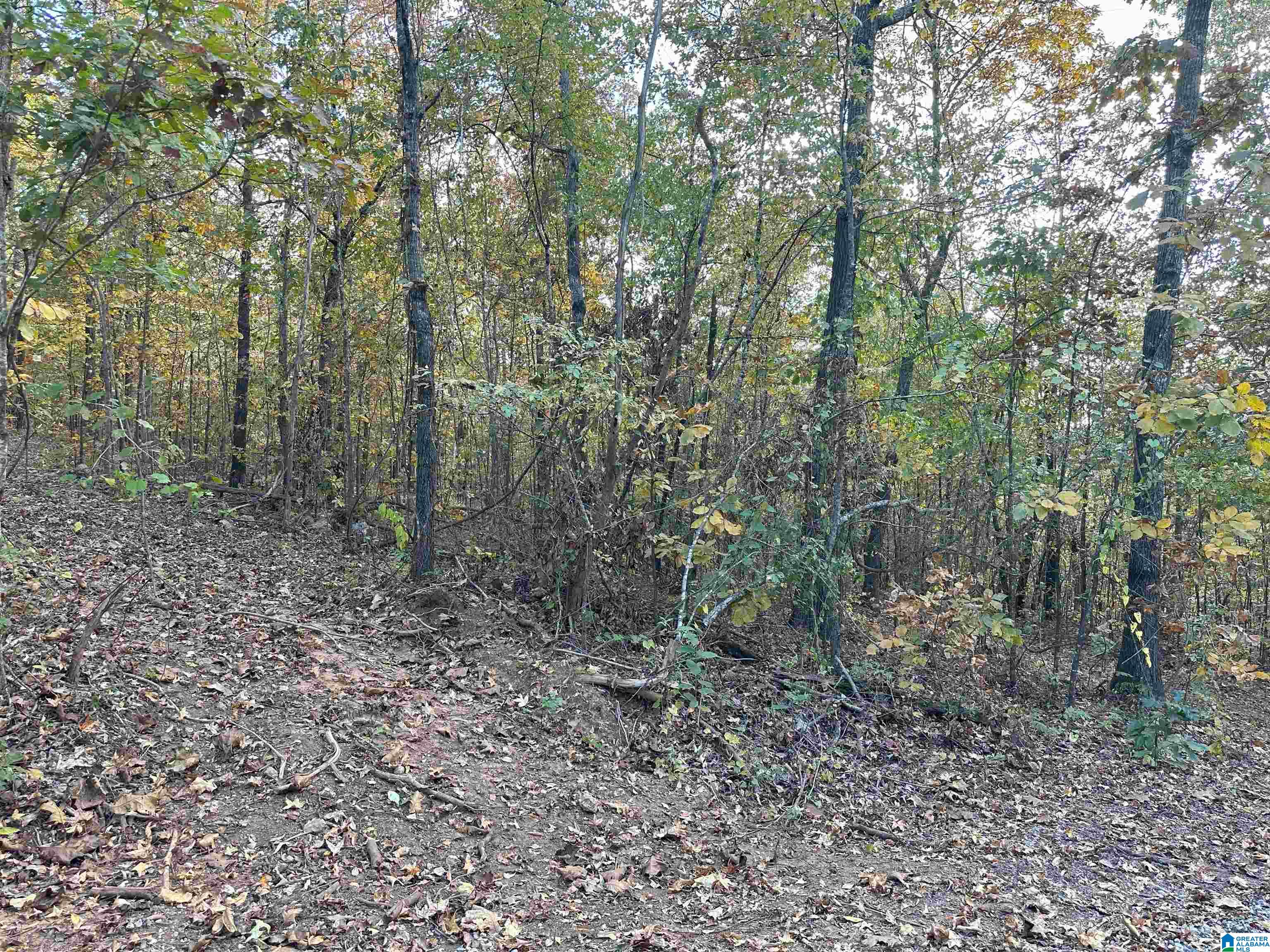 55 Oak Tree Street Cropwell, AL 35054 - Photo 5 of 27