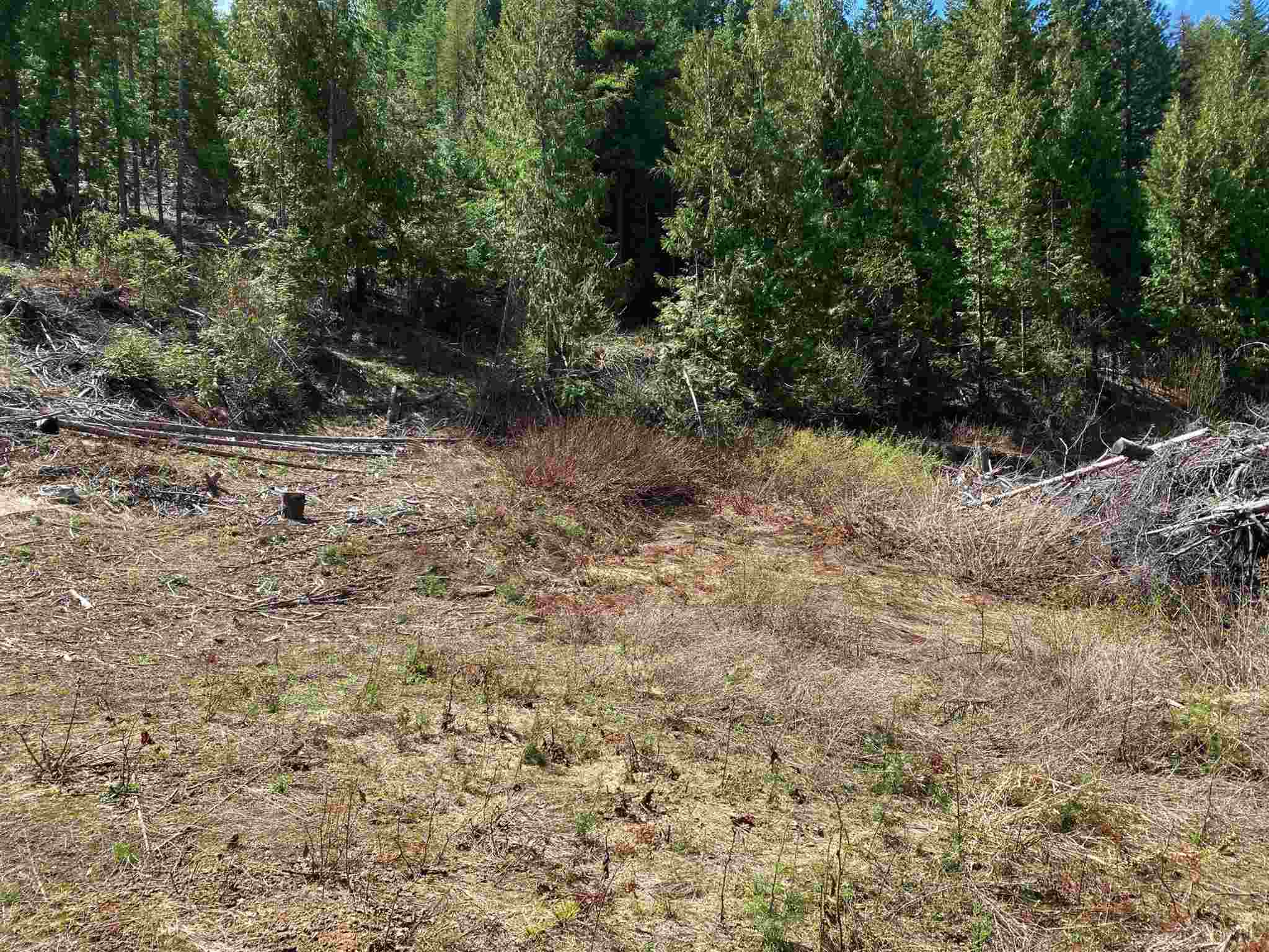 Xxxxtbd East Deer Lake Road Loon Lake, WA 99148 - Photo 3 of 12 Gallery Image 3