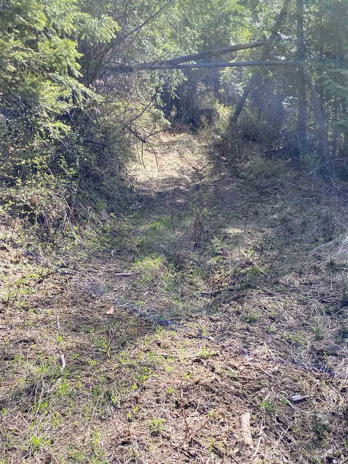 Xxxxtbd East Deer Lake Road Loon Lake, WA 99148 - Photo 4 of 12 Gallery Image 4