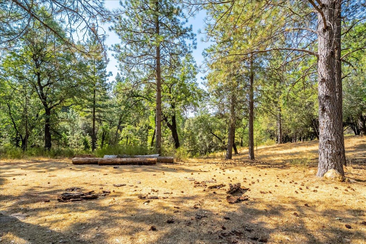 5595 Hackomiller Road Garden Valley, CA 95633 - Photo 13 of 42 a view of a yard with trees