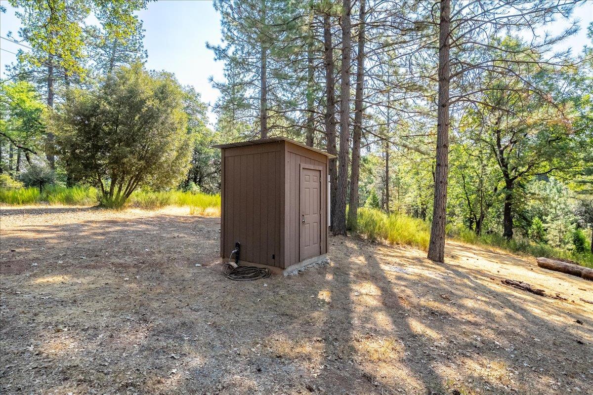 5595 Hackomiller Road Garden Valley, CA 95633 - Photo 14 of 42 a view of backyard with large trees and flower plants