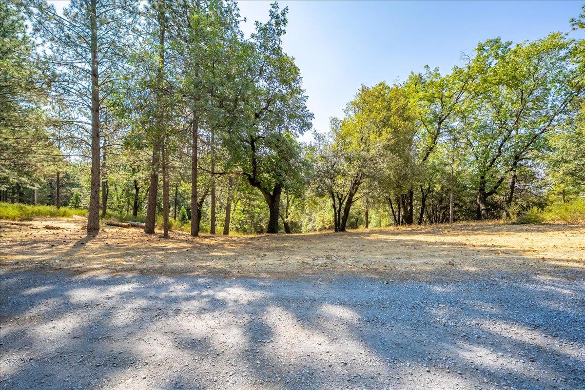 5595 Hackomiller Road Garden Valley, CA 95633 - Photo 15 of 38