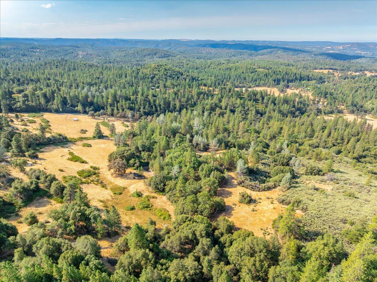 5595 Hackomiller Road Garden Valley, CA 95633 - Photo 21 of 42 a view of a city with lush green forest