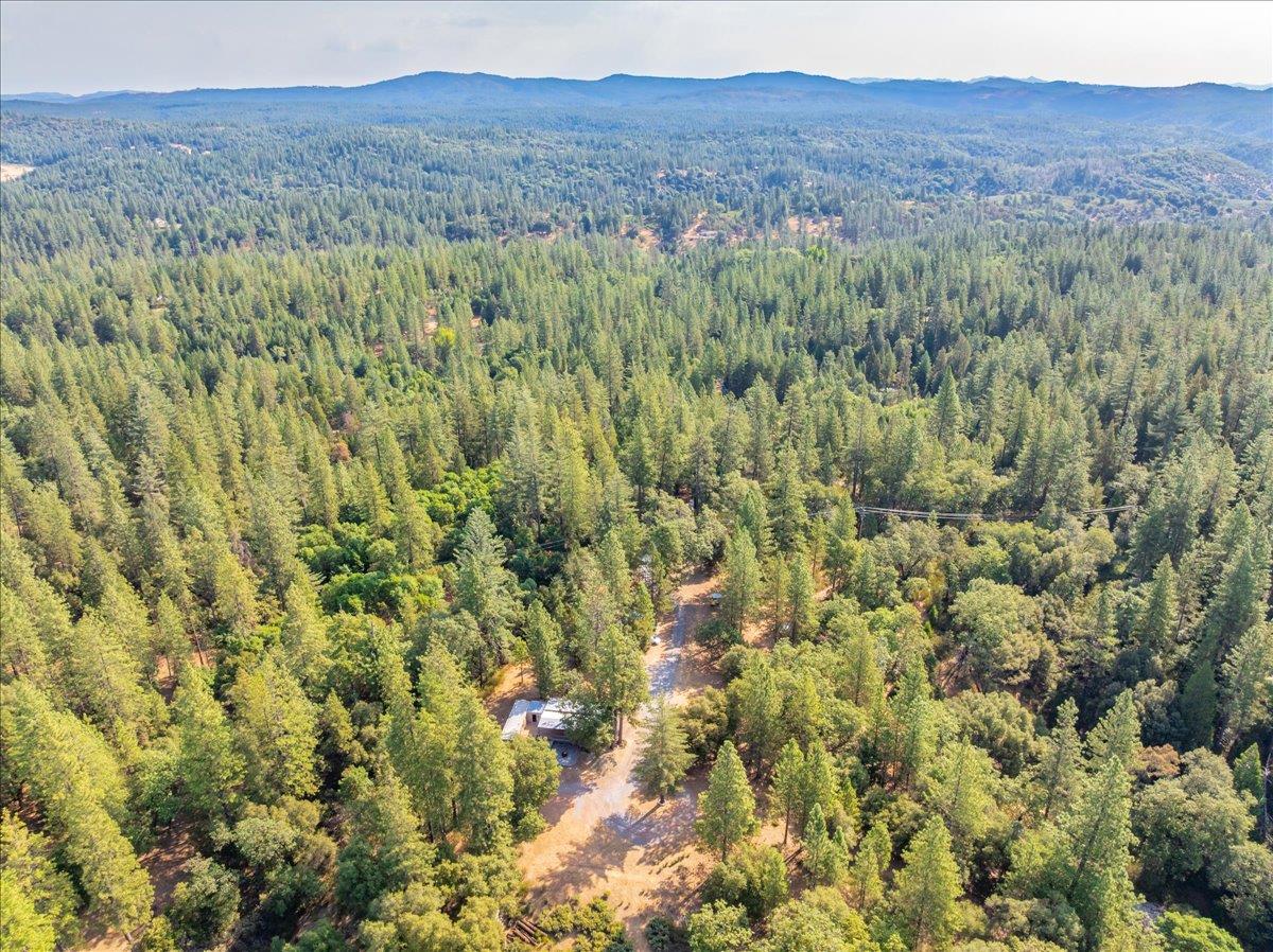 5595 Hackomiller Road Garden Valley, CA 95633 - Photo 23 of 38