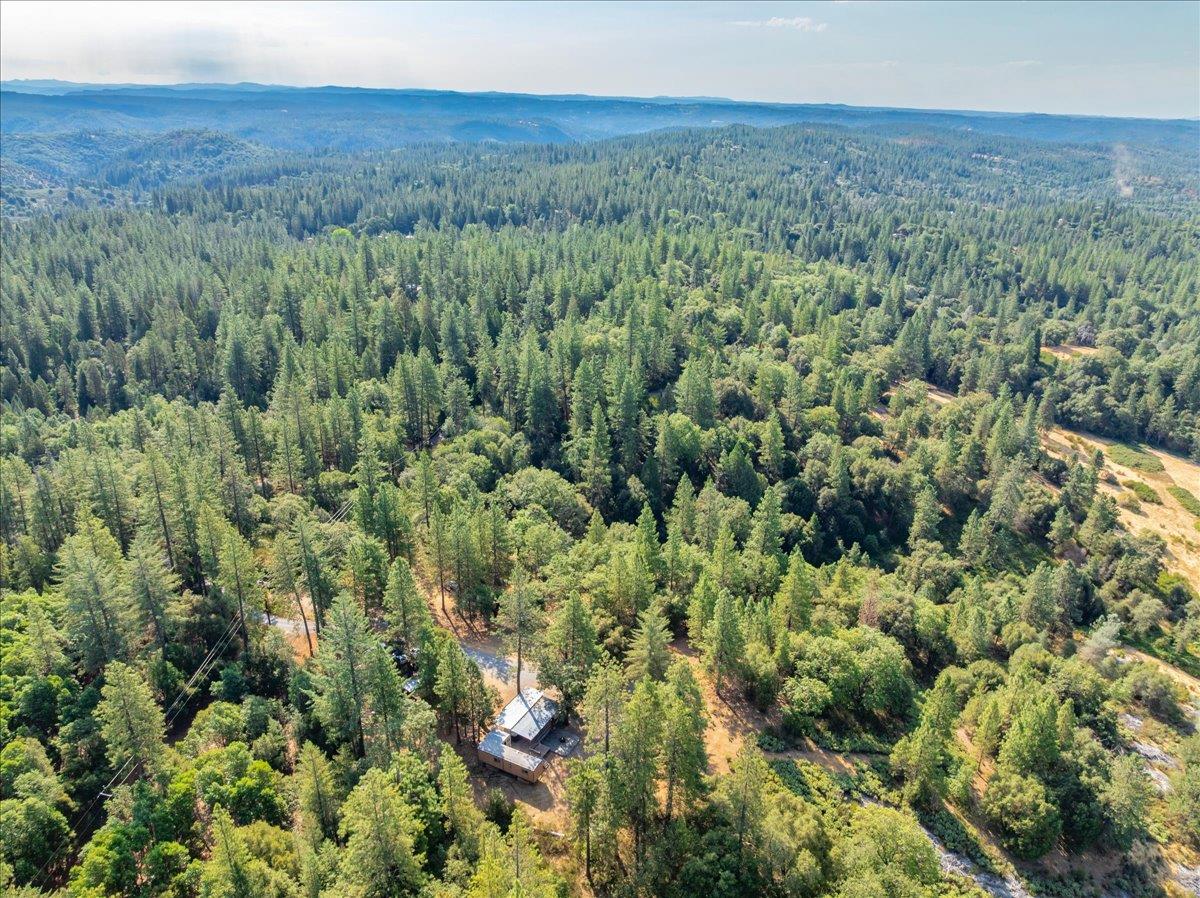 5595 Hackomiller Road Garden Valley, CA 95633 - Photo 26 of 42 a view of a lush green forest with trees and some houses