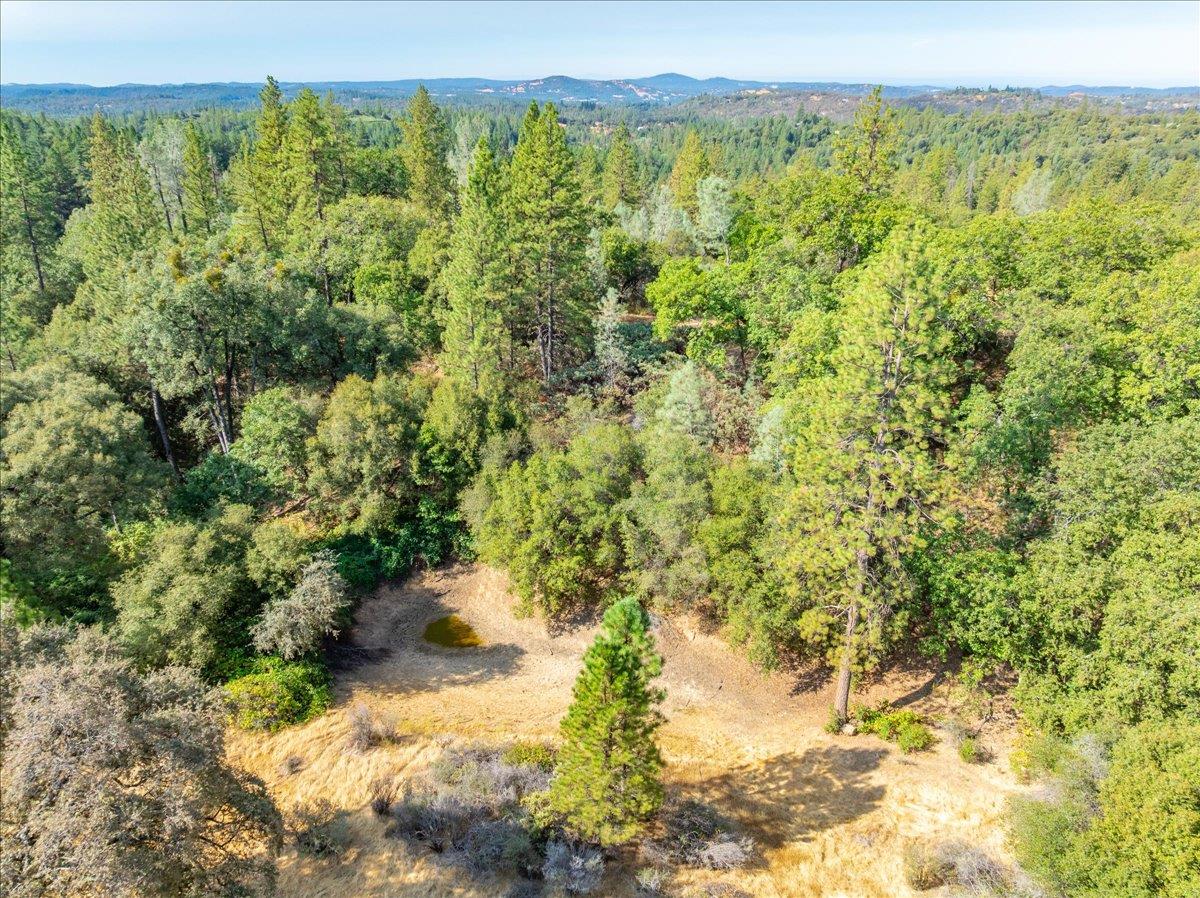 5595 Hackomiller Road Garden Valley, CA 95633 - Photo 30 of 42 a view of a green yard