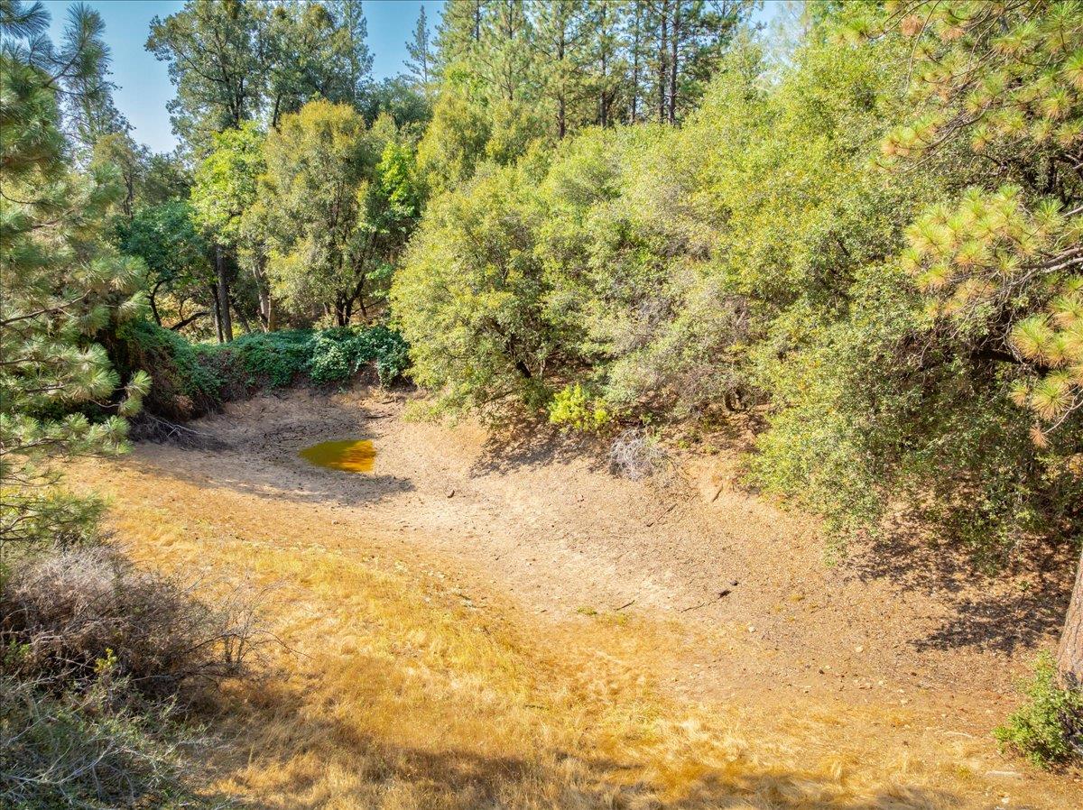 5595 Hackomiller Road Garden Valley, CA 95633 - Photo 31 of 42 a view of back yard of the house