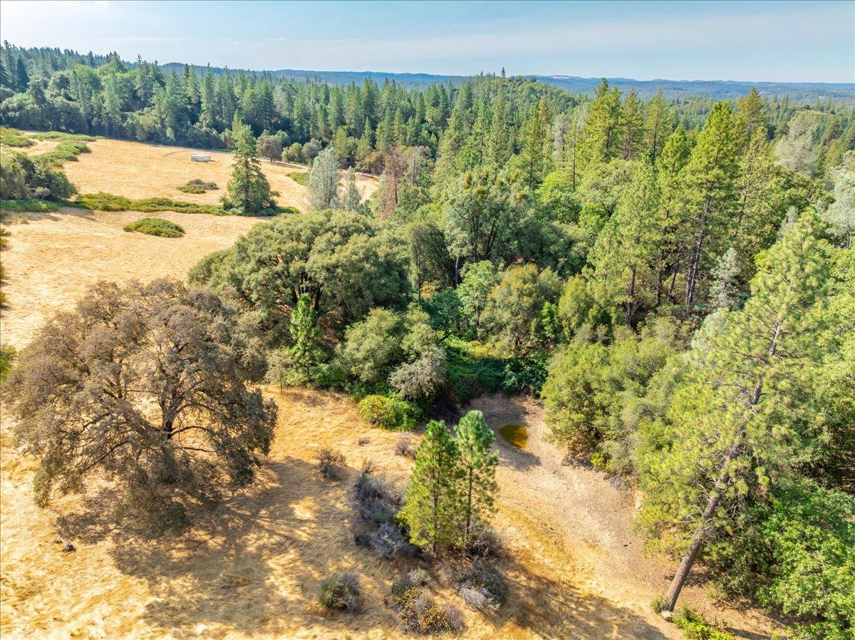 5595 Hackomiller Road Garden Valley, CA 95633 - Photo 32 of 42 a view of a lake with a mountain