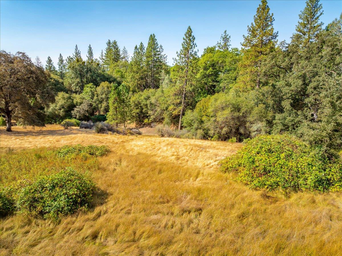 5595 Hackomiller Road Garden Valley, CA 95633 - Photo 35 of 42 a view of yard with swimming pool and trees