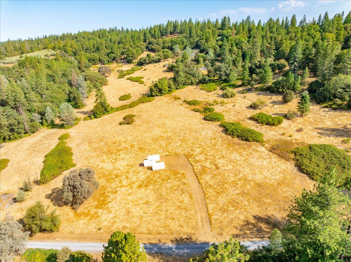 5595 Hackomiller Road Garden Valley, CA 95633 - Photo 38 of 42 a view of a yard