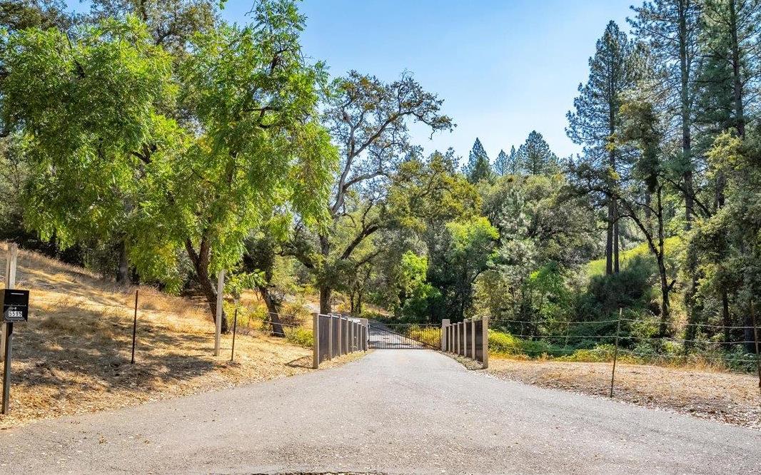 5595 Hackomiller Road Garden Valley, CA 95633 - Photo 7 of 42 a view of road with large trees