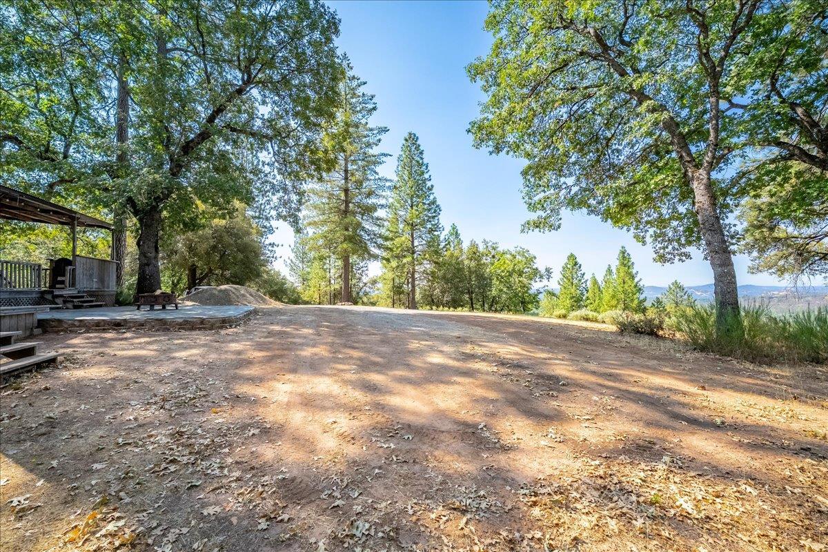 5595 Hackomiller Road Garden Valley, CA 95633 - Photo 10 of 42 a view of a yard with plants and trees