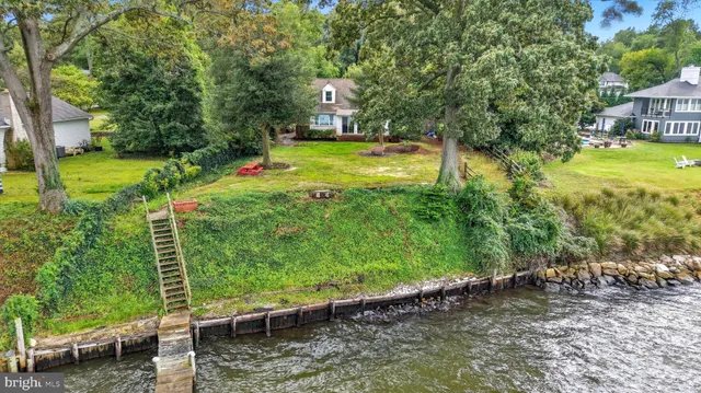 a view of a park with large trees