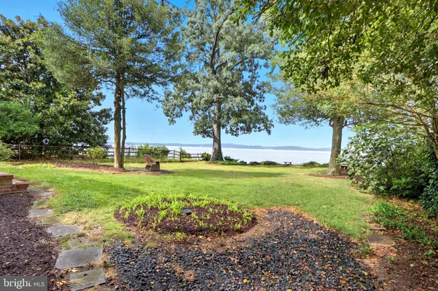 a view of a garden with trees