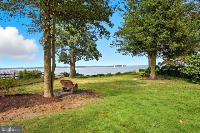 a view of a yard with a slide