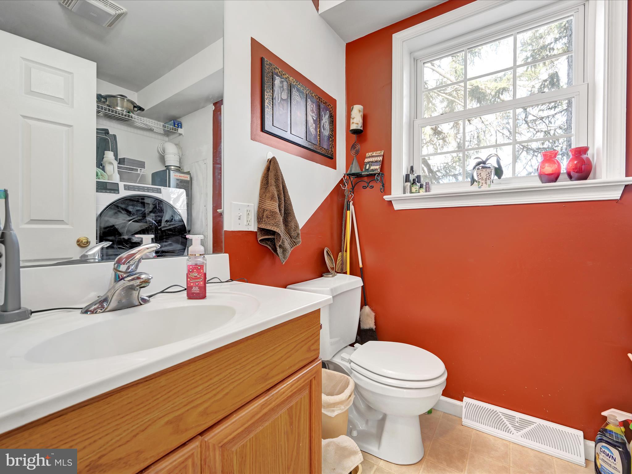 605 Wateredge Road Lititz, PA 17543 - Photo 16 of 29 a bathroom with a sink a toilet and a mirror