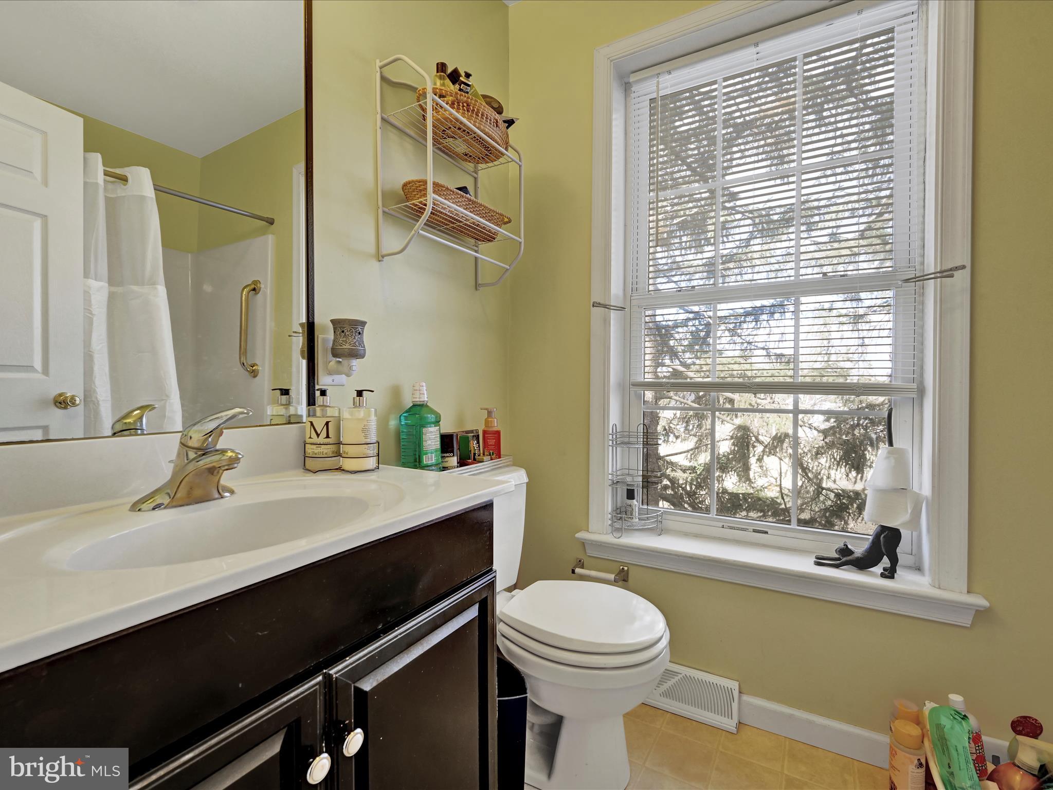 605 Wateredge Road Lititz, PA 17543 - Photo 24 of 29 a bathroom with a sink vanity mirror and toilet