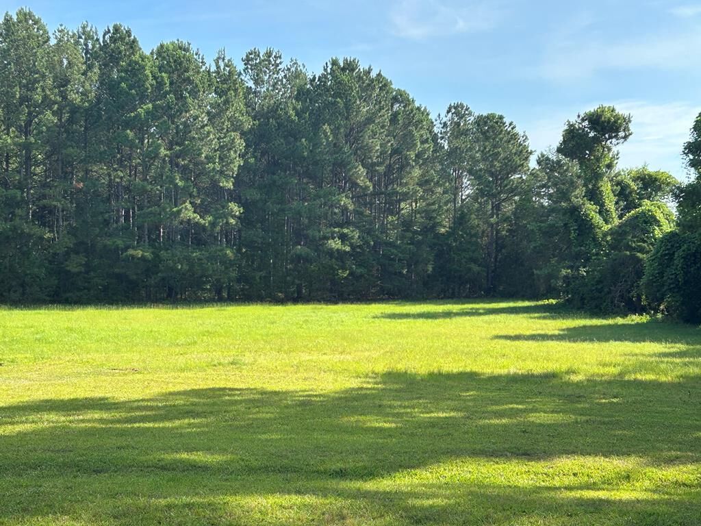 200 Stevenson Road Abbeville, SC 29620 - Photo 46 of 66 Gallery Image 46
