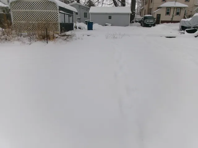 $60,000 | 319 North Chestnut Street, Princeton, IL 61356