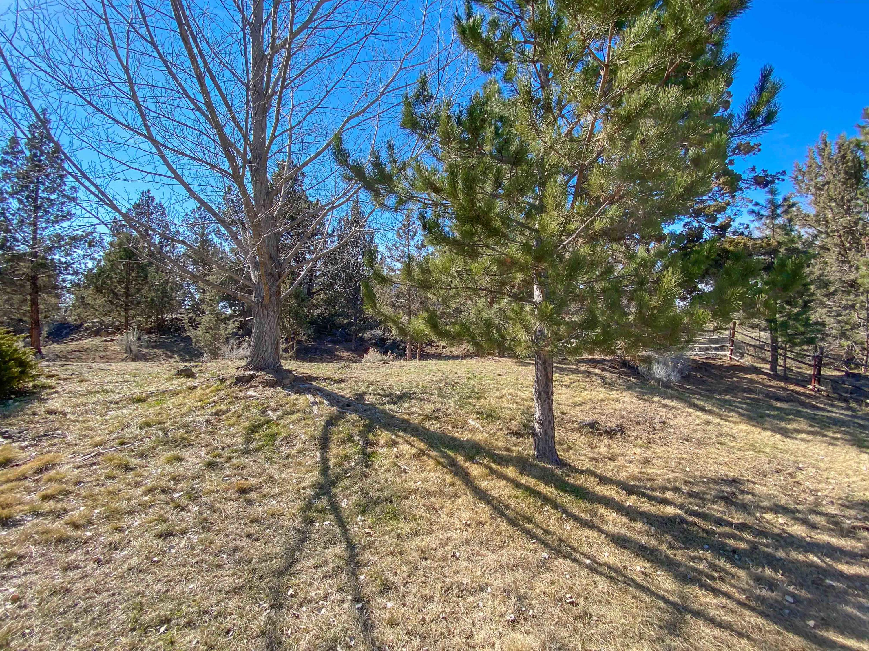 64943 Hunnell Road Bend, OR 97703 - Photo 60 of 70 IMG_9595