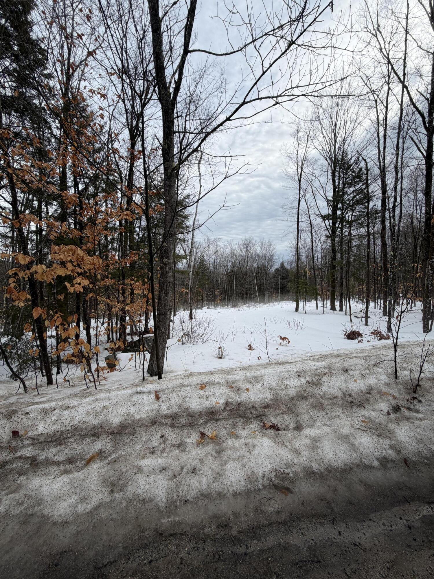 Lot 3 Hancock Pond Road Denmark, ME 04022 - Photo 2 of 2 IMG_0605