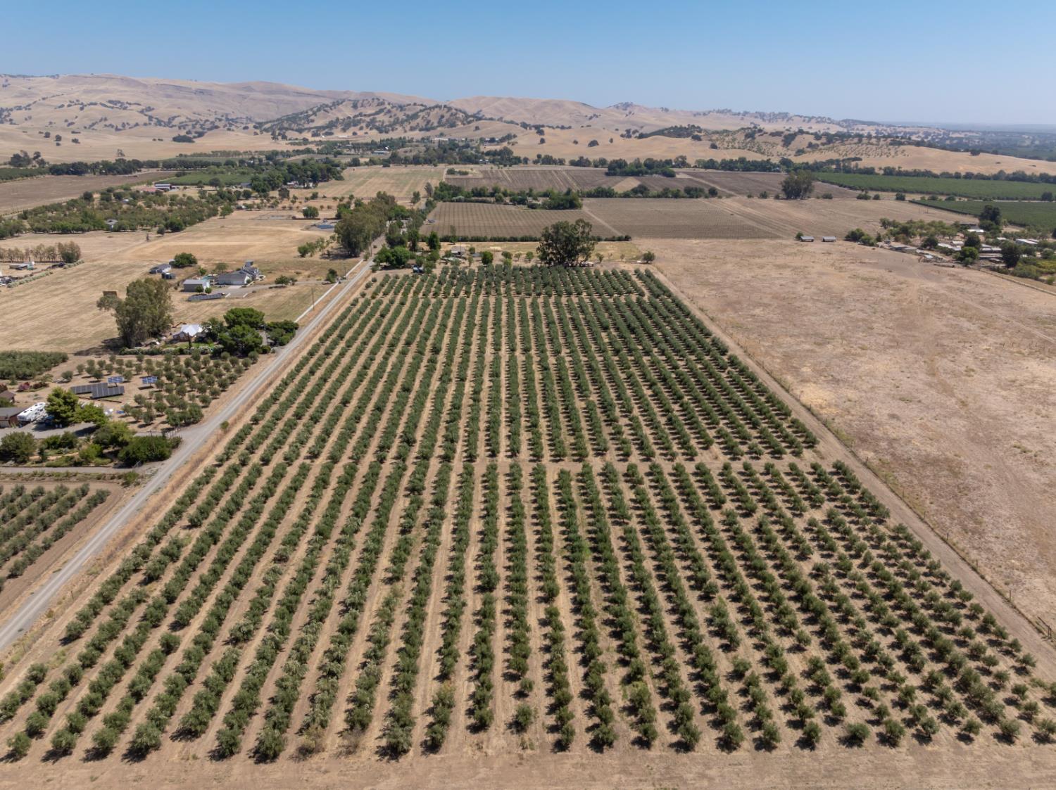 20115 County Road 79A Capay, CA 95607 - Photo 4 of 44