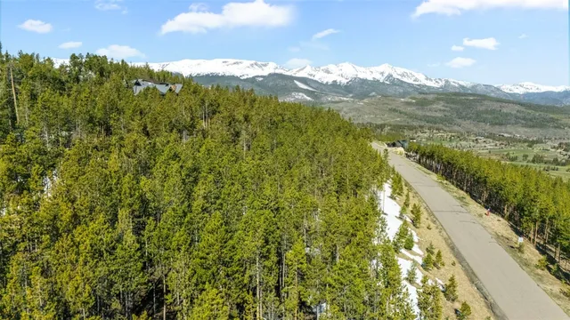 a view of a lush green hillside and a mountain