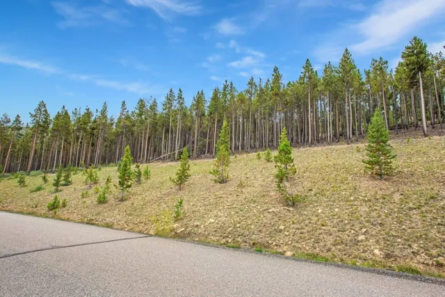 a view of a road with a yard
