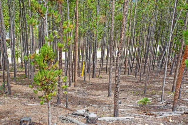 a garden view with a garden