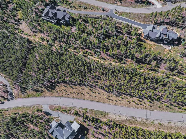 a view of the city and flowers