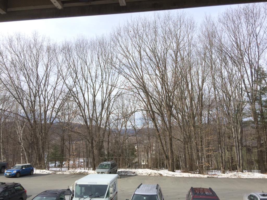40 D Seminary Hill Road, Unit 40 Lebanon, NH 03784 - Photo 10 of 11