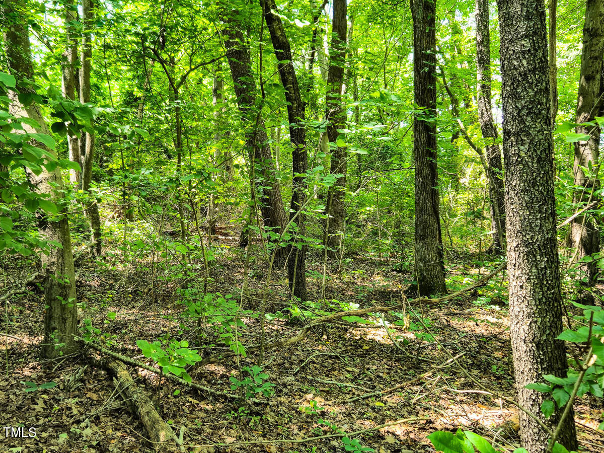 0 Green Pasture Lane Ruffin, NC 27326 - Photo 1 of 32 Caswell Co. 1.54- Gokce-15